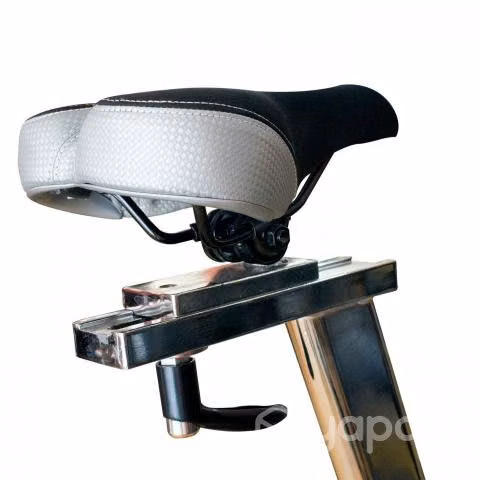 Bicicleta Spinning EVO 8600 (Evolution Fitness)