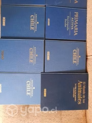 Enciclopedia de chile/ libros varios