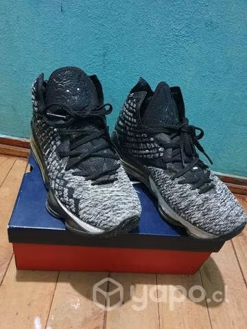 Zapatillas LeBron