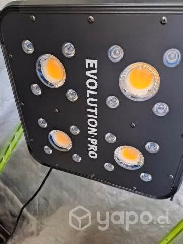 Apollo Evolution Pro 4 - 150W