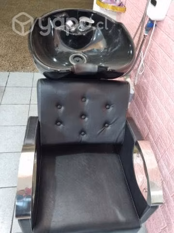 Lavapelos profesional
