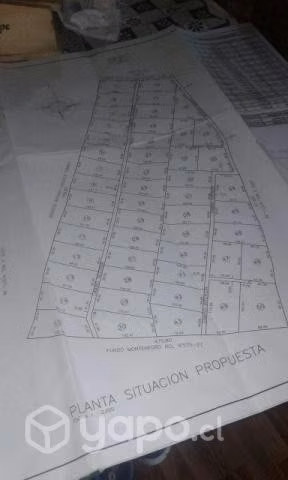 Parcela 5000mts - Imagen 3