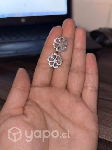 Aros de dama