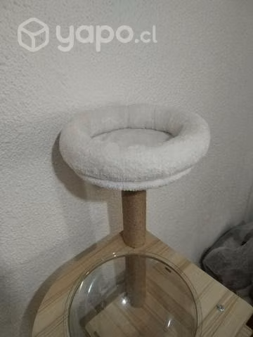 Rascador, casa, cama gatos