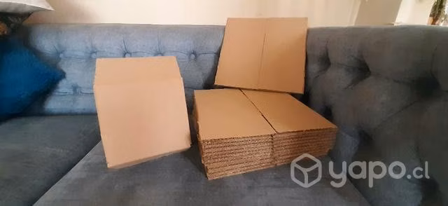 Cajas cartón 16x16x16
