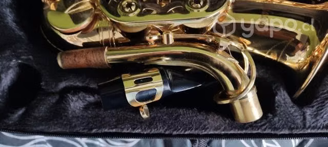 Saxofón alto - Imagen 2