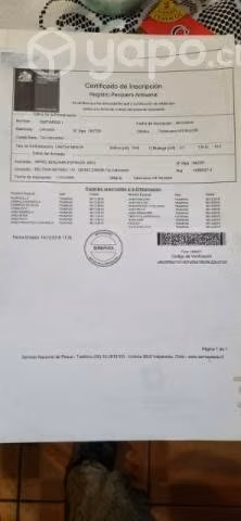 Vendo o permuto lancha