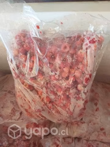 50 kilos de frambuesas congeladas - Imagen 3