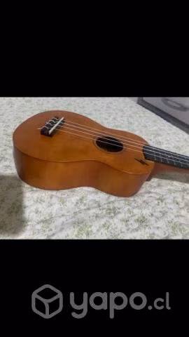 Ukulele Kauai