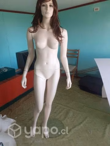 Maniquí usado