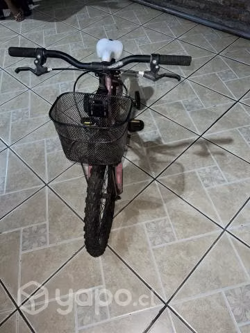 Bicicleta Oxford luna aro 20