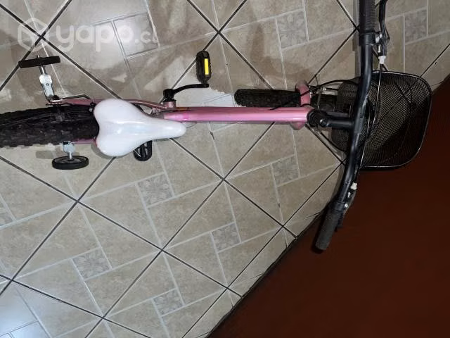 Bicicleta Oxford luna aro 20