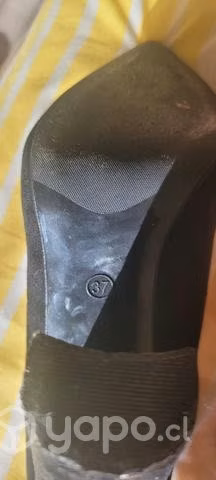 Zapatos dama