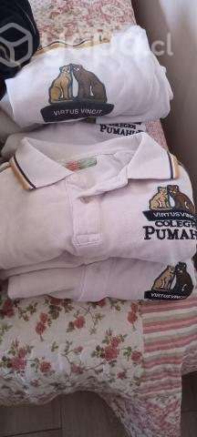 Uniformes colegio pumahue - Imagen 2