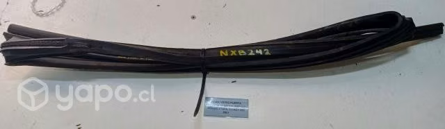 Goma Vidrio Puerta Trasera Derecha (NXB242) Nissan
