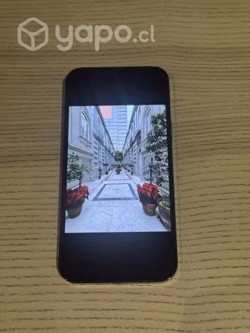 Iphone 13 Pro Max 128gb Buen estado