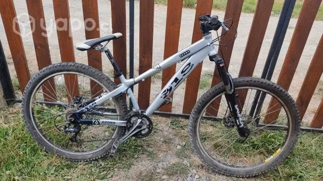 Bicicleta de Descenso