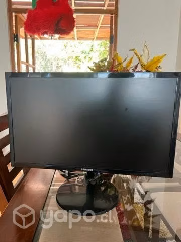 Monitor SAMSUNG 22" Pulgadas