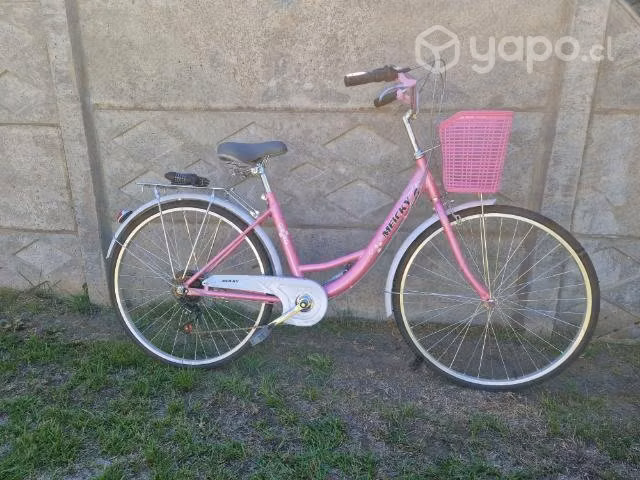 Bicicleta paseo NUEVA