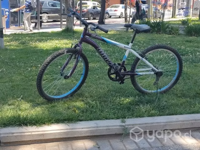 bicicleta