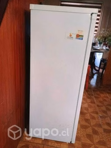 Freezer/Congelador en Temuco
