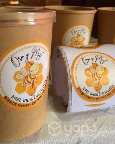 miel de corontillo pura