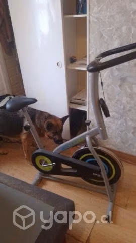 Bicicleta estática - Imagen 2