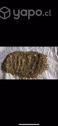 Alimento para pájaros