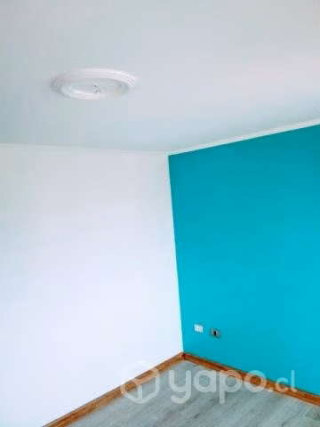 Yesero y pintor de terminaciones finas