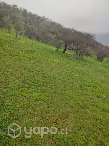 Cerro semiplano - Imagen 6