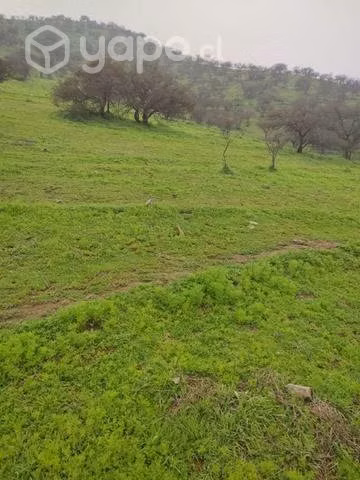Cerro semiplano - Imagen 4