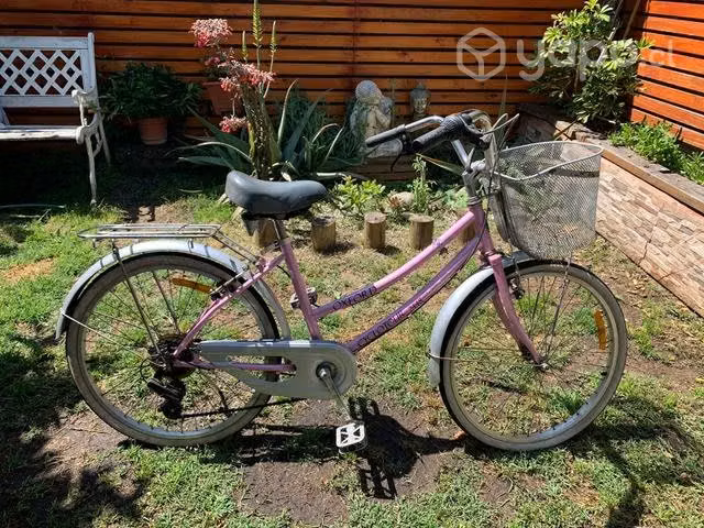 Bicicleta de paseo aro 24