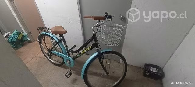 Bicicleta paseo
