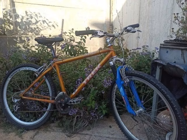 Bicicleta treck