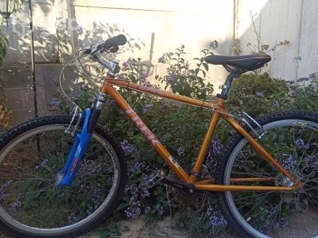 Bicicleta treck