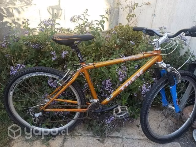 Bicicleta treck