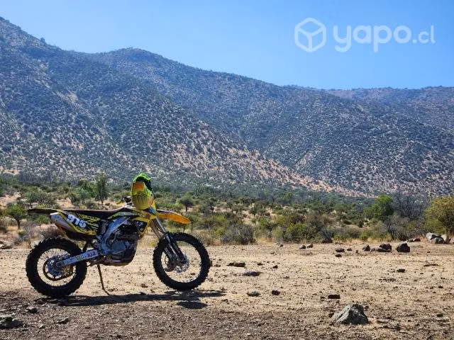 Suzuki RMX 450