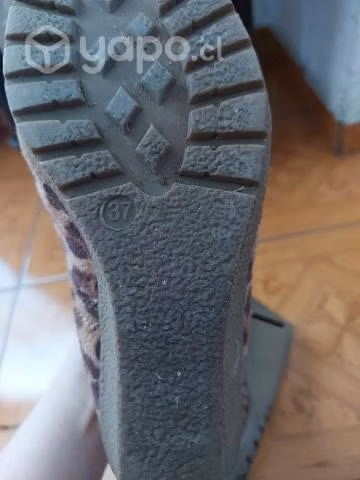 Botines animal printt con chiporro (37)
