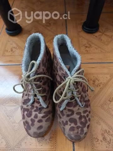 Botines animal printt con chiporro (37)