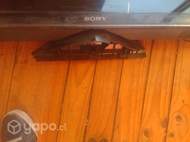 Plasma Sony solo malo la parte el enchufe