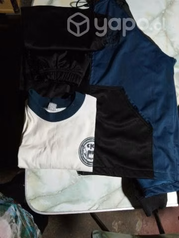 Uniforme Liceo Industrial de Concepcion
