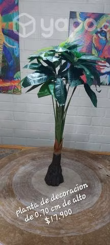 Decoraciones judith - Imagen 6