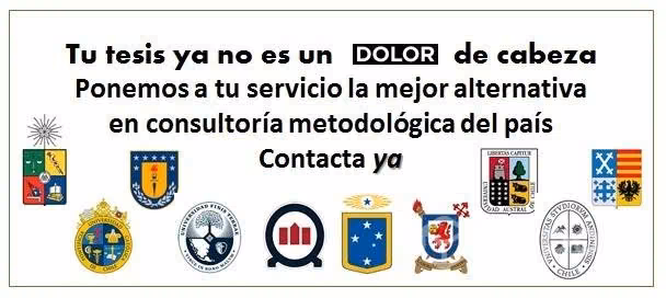 Tutoría y asesoría tesis y trabajos de grado