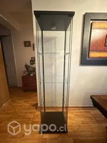 Vitrina de vidrio con puerta magnética y luz