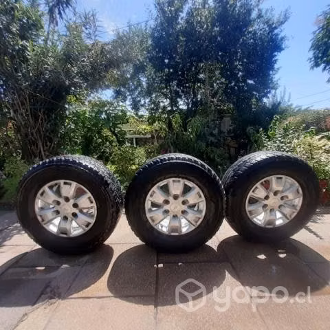 Neumáticos Bridgestone