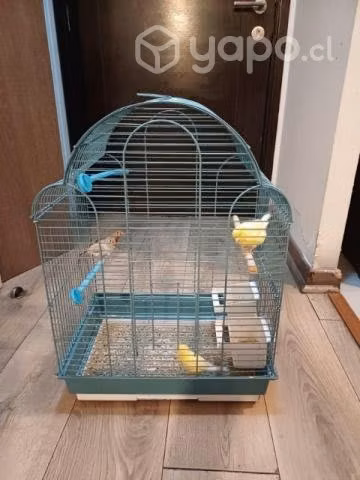 Pájaros - Imagen 3