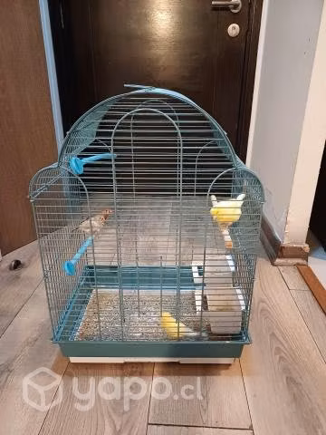 Pájaros - Imagen 4