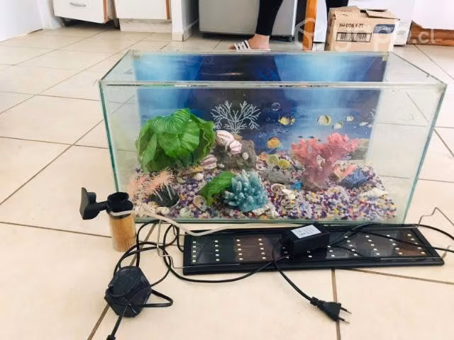 Se vende Pecera