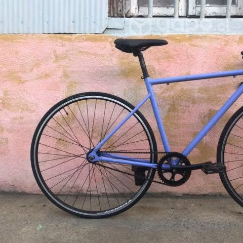Fixie Piñon Fijo