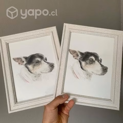 Retratos de mascotas